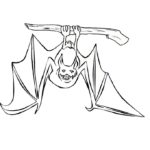 Raskrasil.com-Coloring-Pages-Bat-29