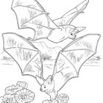 Raskrasil.com-Coloring-Pages-Bat-55