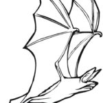 Raskrasil.com-Coloring-Pages-Bat-57