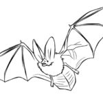 Raskrasil.com-Coloring-Pages-Bat-58