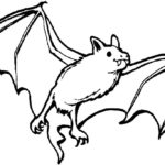 Raskrasil.com-Coloring-Pages-Bat-72