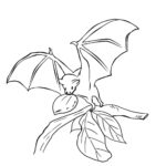 Raskrasil.com-Coloring-Pages-Bat-74
