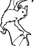 Raskrasil.com-Coloring-Pages-Bat-86