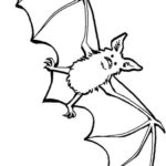 Raskrasil.com-Coloring-Pages-Bat-88