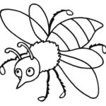 Raskrasil.com-Coloring-Pages-Bee-14