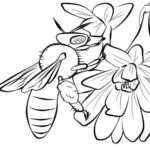 Raskrasil.com-Coloring-Pages-Bee-64
