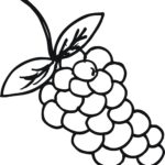 Raskrasil.com-Coloring-Pages-Berries-102