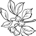 Previous Attachment
