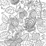 Raskrasil.com-Coloring-Pages-Berries-13