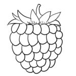 Raskrasil.com-Coloring-Pages-Berries-14