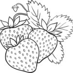 Raskrasil.com-Coloring-Pages-Berries-16
