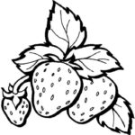 Raskrasil.com-Coloring-Pages-Berries-2