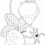 Previous Attachment