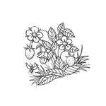 Raskrasil.com-Coloring-Pages-Berries-30