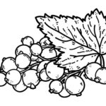 Previous Attachment