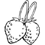 Raskrasil.com-Coloring-Pages-Berries-38