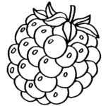 Raskrasil.com-Coloring-Pages-Berries-42