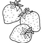Raskrasil.com-Coloring-Pages-Berries-5