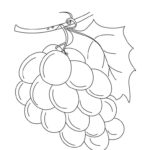Raskrasil.com-Coloring-Pages-Berries-51