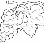 Raskrasil.com-Coloring-Pages-Berries-52