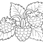 Previous Attachment