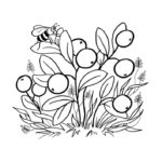 Raskrasil.com-Coloring-Pages-Berries-54