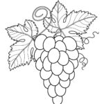 Raskrasil.com-Coloring-Pages-Berries-6