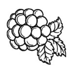 Raskrasil.com-Coloring-Pages-Berries-61