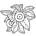 Raskrasil.com-Coloring-Pages-Berries-63