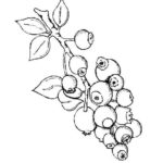 Previous Attachment