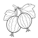 Raskrasil.com-Coloring-Pages-Berries-68