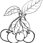 Raskrasil.com-Coloring-Pages-Berries-69