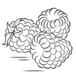 Raskrasil.com-Coloring-Pages-Berries-74