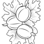Raskrasil.com-Coloring-Pages-Berries-82