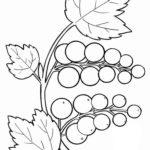 Raskrasil.com-Coloring-Pages-Berries-83