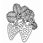 Raskrasil.com-Coloring-Pages-Berries-86