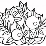 Raskrasil.com-Coloring-Pages-Berries-87