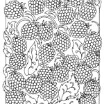Raskrasil.com-Coloring-Pages-Berries-95