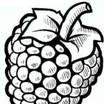 Raskrasil.com-Coloring-Pages-Berries-99