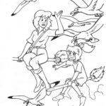 Raskrasil.com-Coloring-Pages-Bibi-and-Tina-12