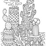 Raskrasil.com-Coloring-Pages-Cactus-102