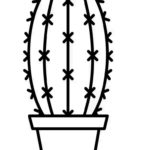 Raskrasil.com-Coloring-Pages-Cactus-13