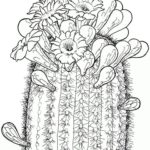 Raskrasil.com-Coloring-Pages-Cactus-15
