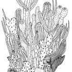 Raskrasil.com-Coloring-Pages-Cactus-17