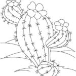 Raskrasil.com-Coloring-Pages-Cactus-21
