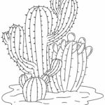Raskrasil.com-Coloring-Pages-Cactus-40