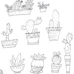 Raskrasil.com-Coloring-Pages-Cactus-41