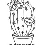 Raskrasil.com-Coloring-Pages-Cactus-45