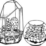 Raskrasil.com-Coloring-Pages-Cactus-47