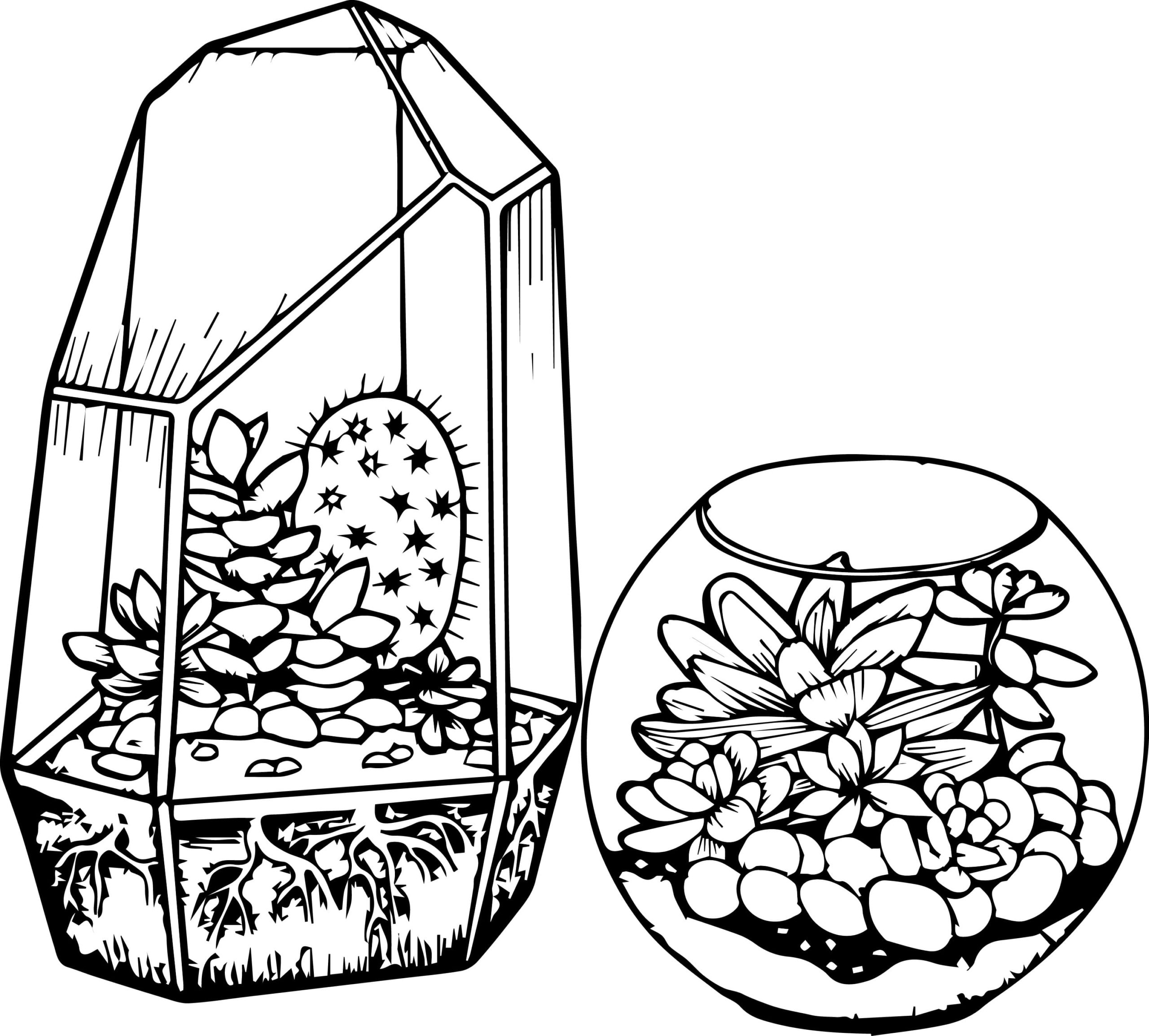 Raskrasil.com-Coloring-Pages-Cactus-47